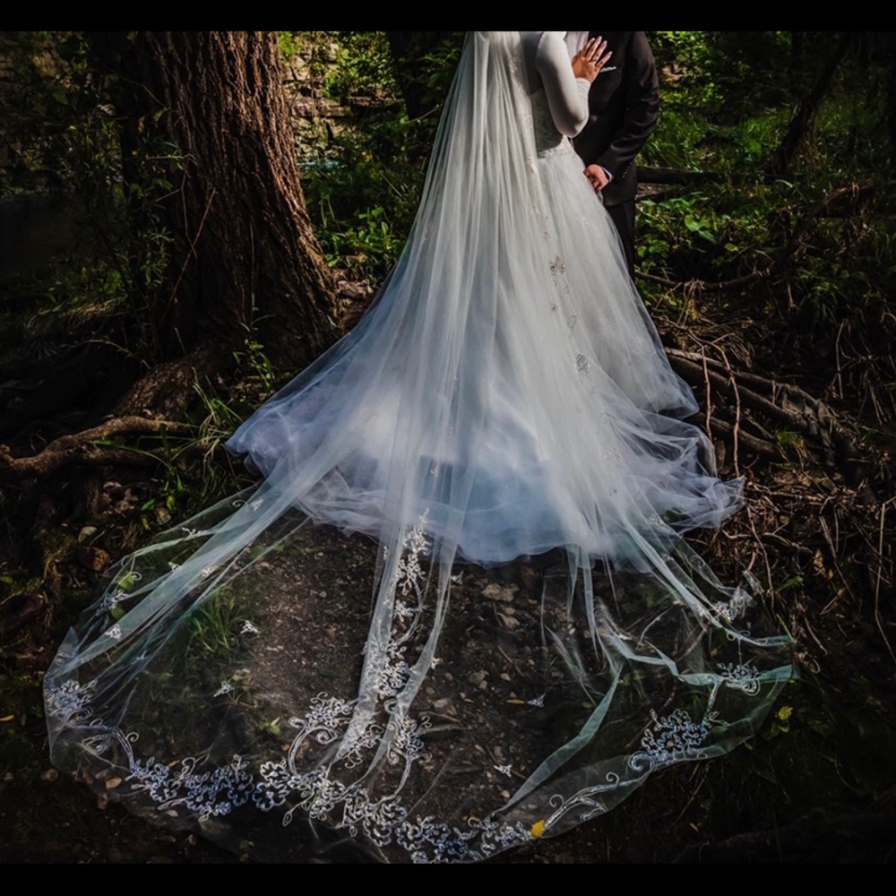 Wedding dress size 12 and 6 ft veil